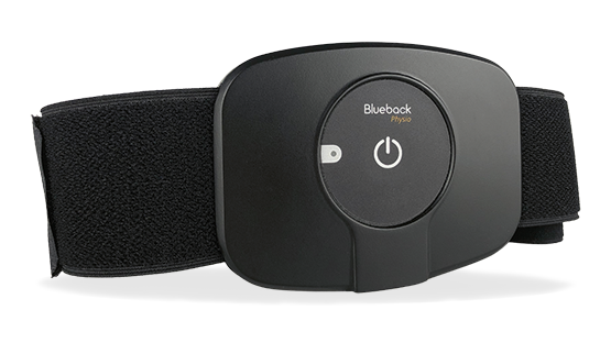 Blueback physio